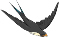 640_5.png