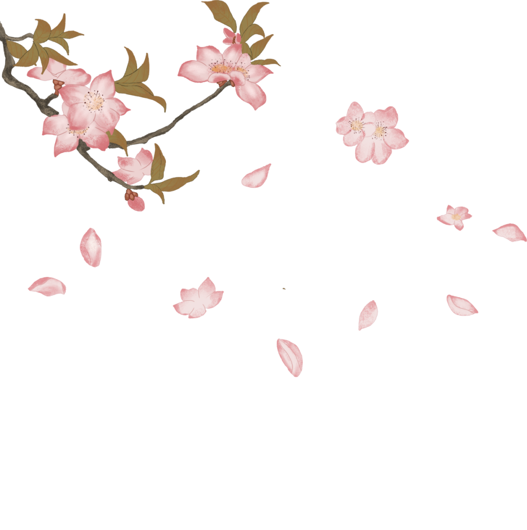 640(8).png